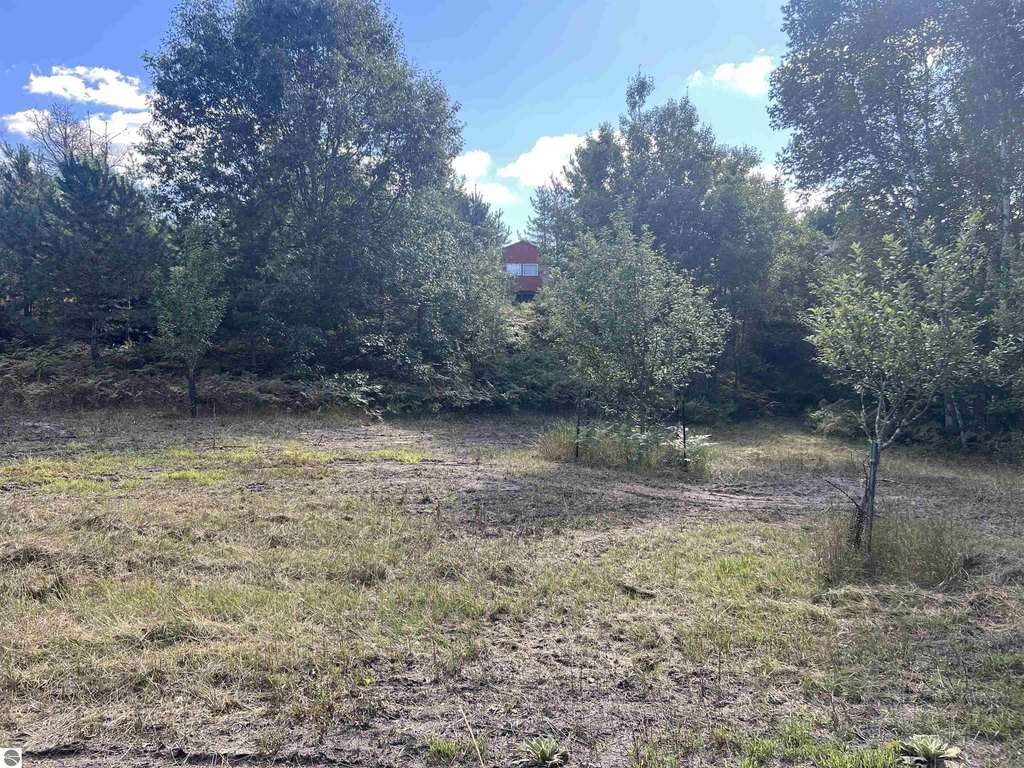 Picture 27
