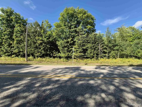 VACANT LAND, Gulliver, MI