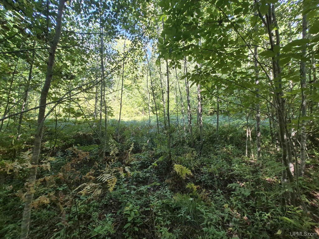 Picture 13