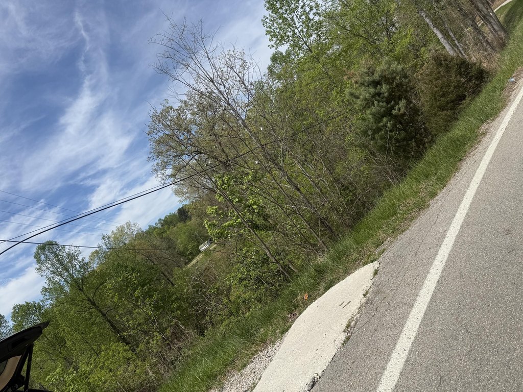 Picture 4