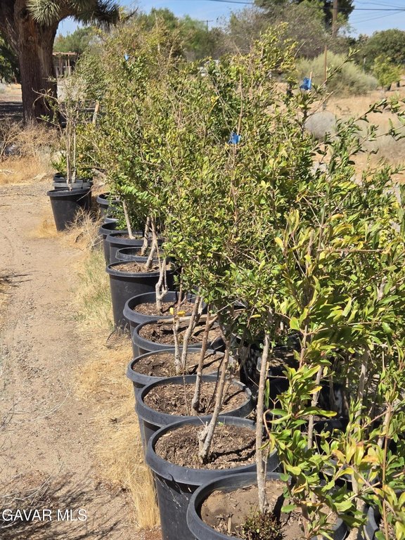 Picture 18