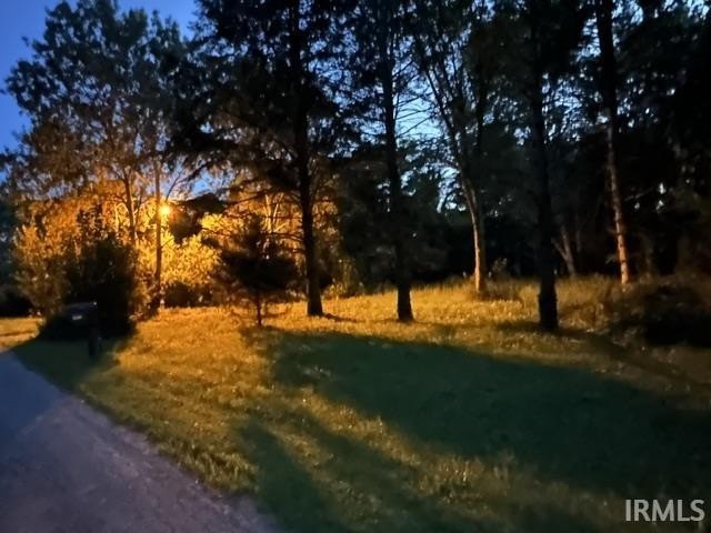 Picture 3