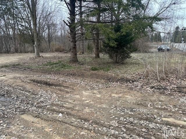 Picture 16