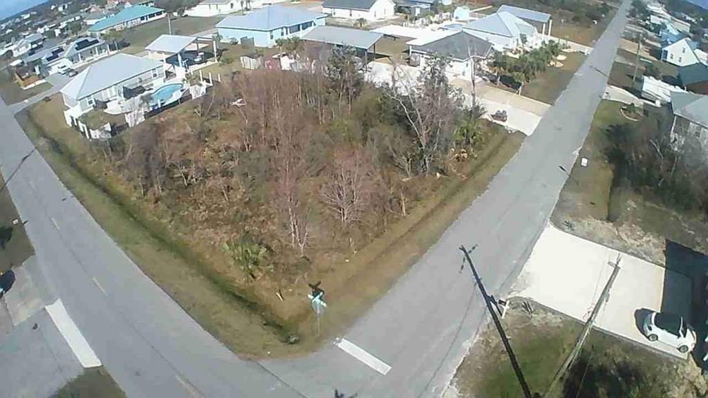 Picture 5