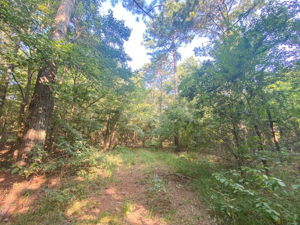 Picture 5