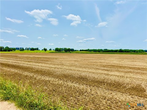 Level Farmland Tract in Buckholts