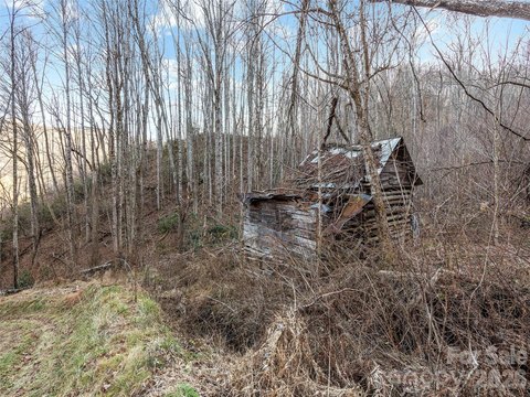 High Elevation Wooded Valley Land