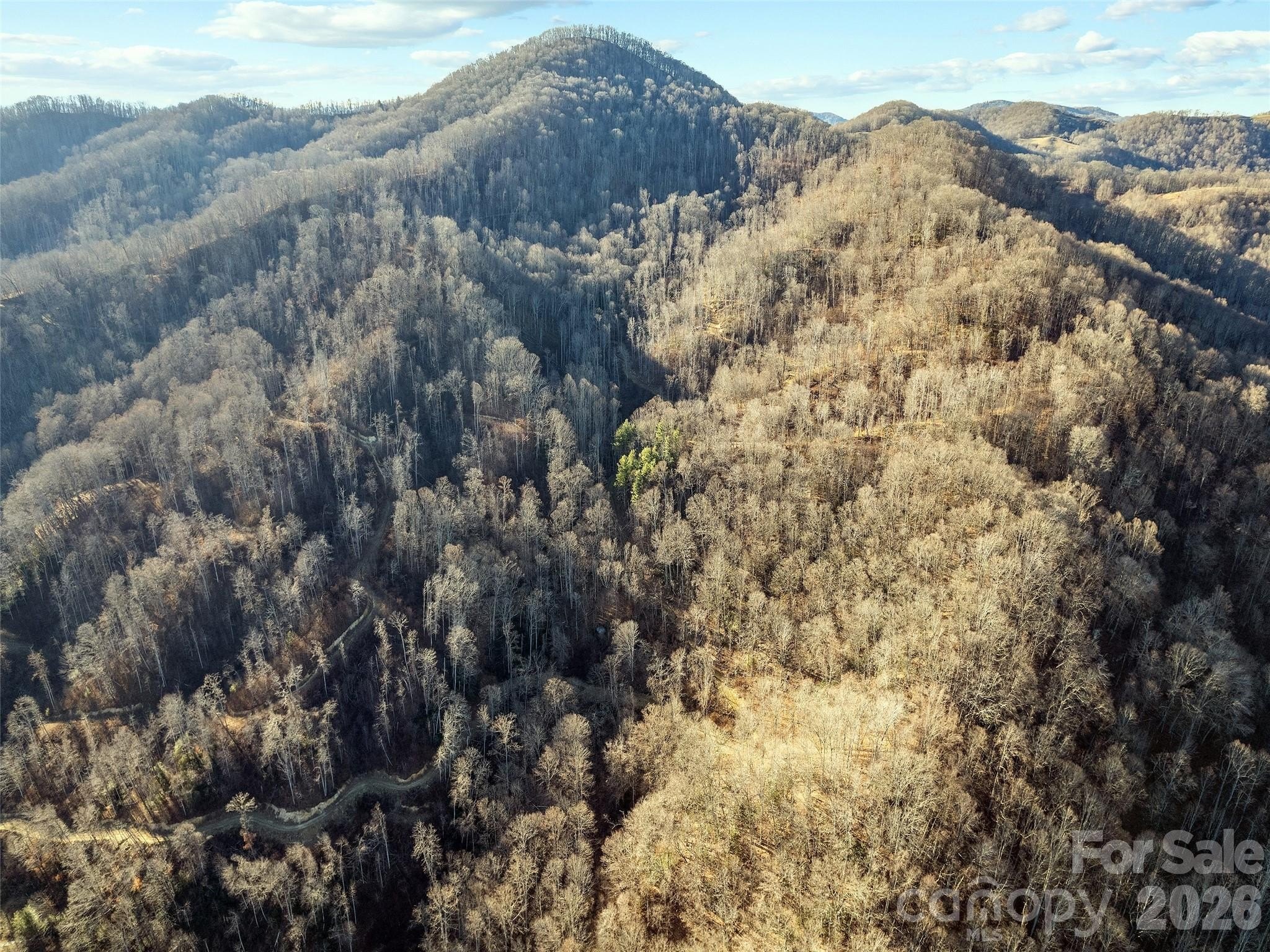 High Elevation Wooded Valley Land