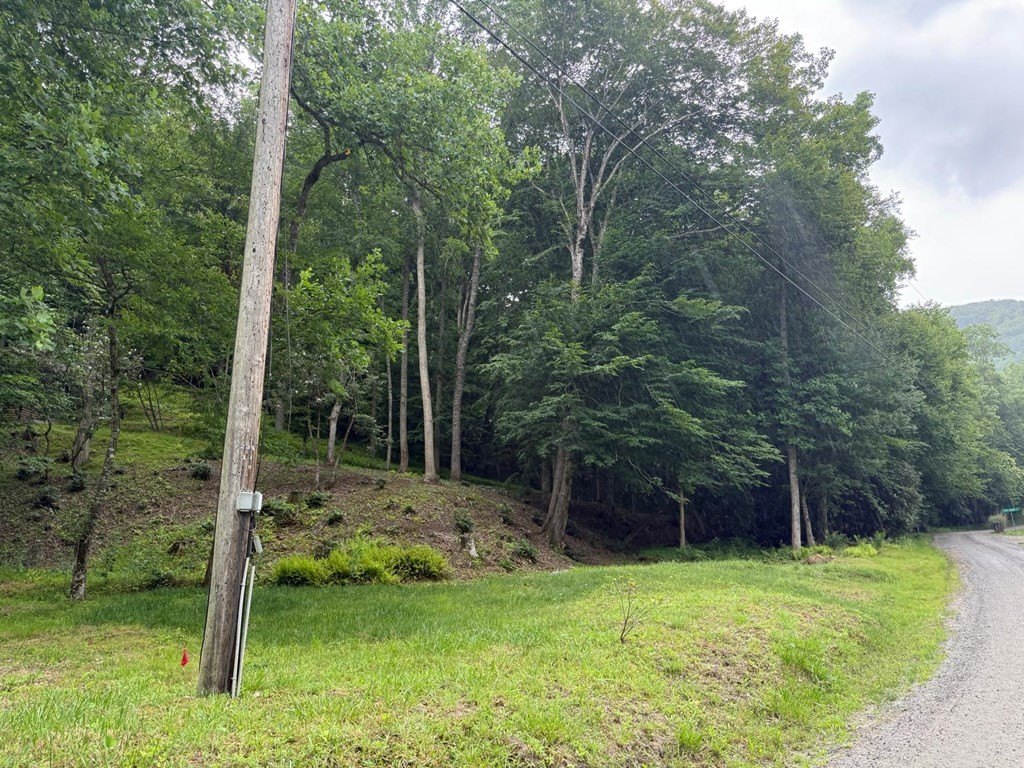 Picture 3