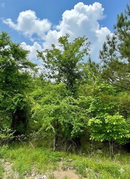 LAND - Broken Bow, OK