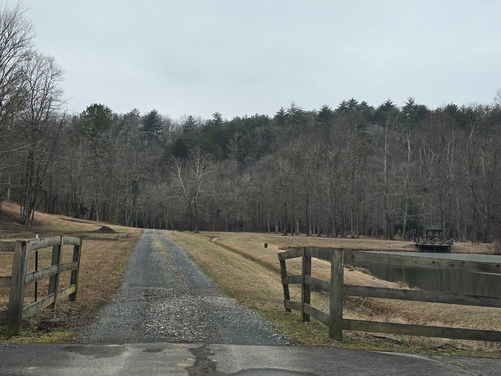 Picture 17