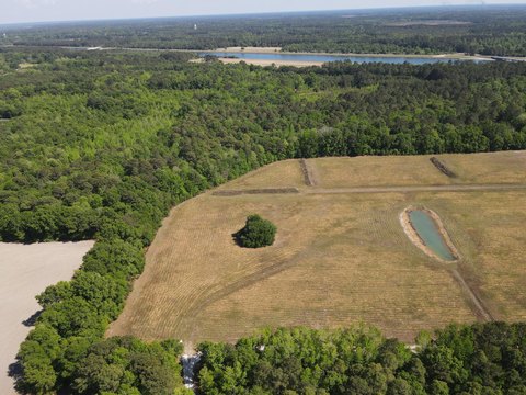 Land, Saint Stephen, SC