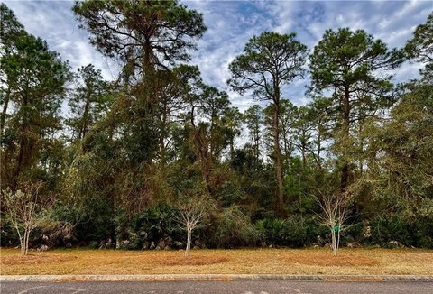 Residential Lot in St Marys