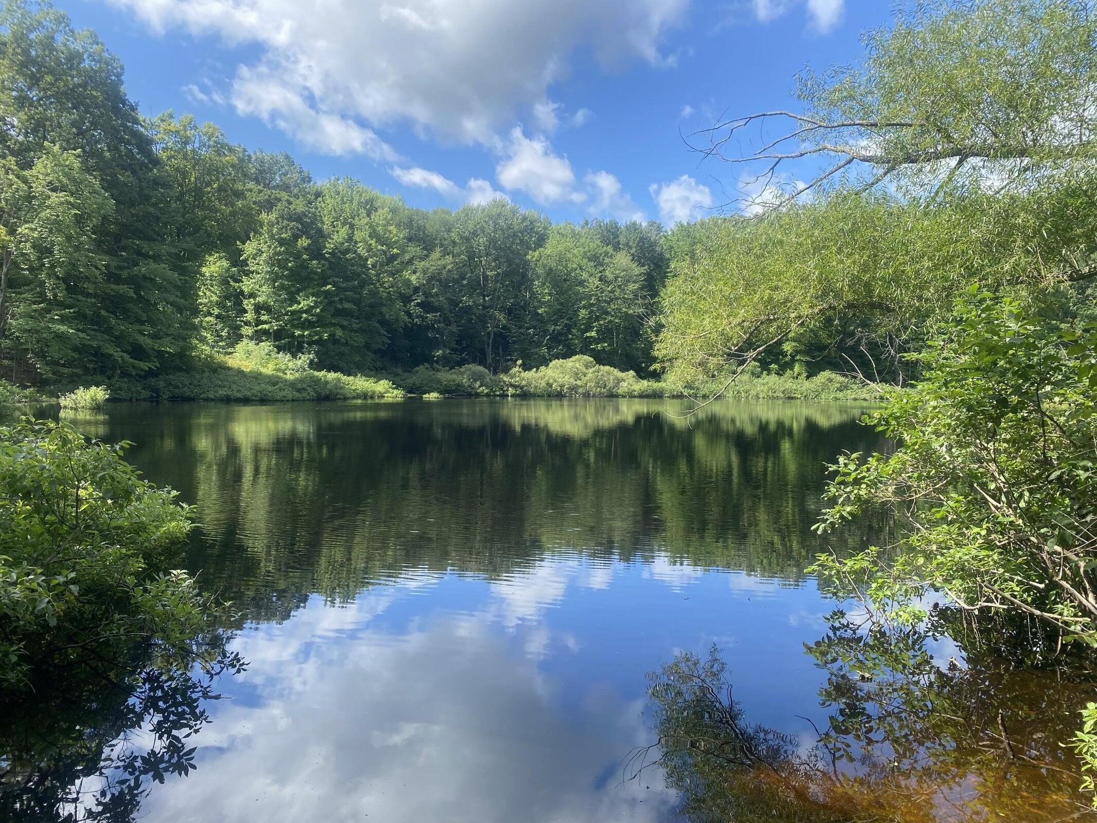 Serene Lot Near All-Sports Lakes