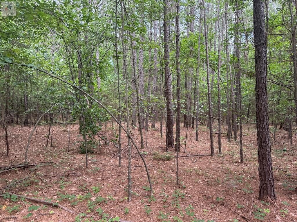 Picture 17