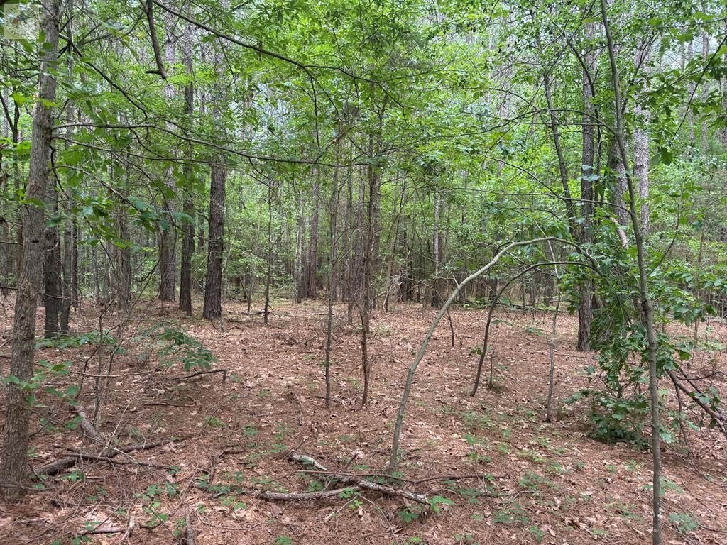 Picture 18