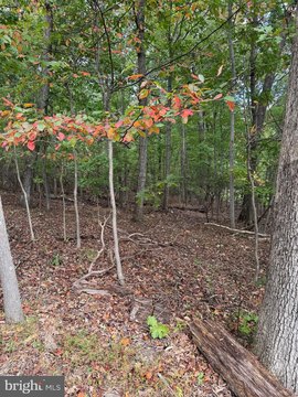 Haymarket Land in Bull Run