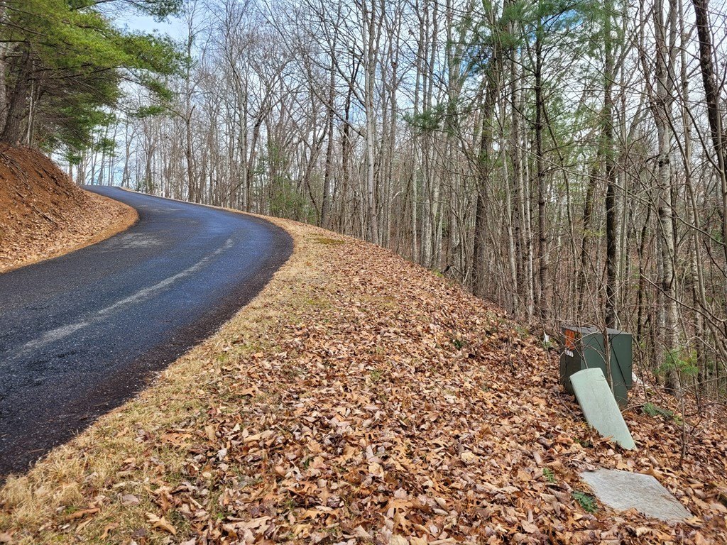 Picture 8