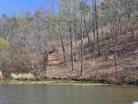 LAND - ROCKFORD, AL