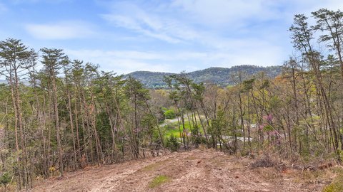 New Market 5-Acre Oasis