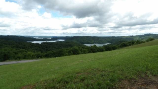 Picture 12