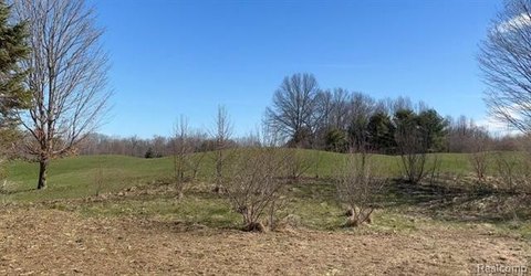 LAND - New Buffalo Twp, MI