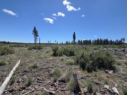 Land with Mountain Views