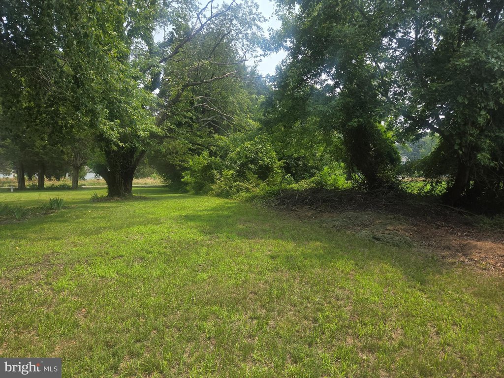 Picture 5