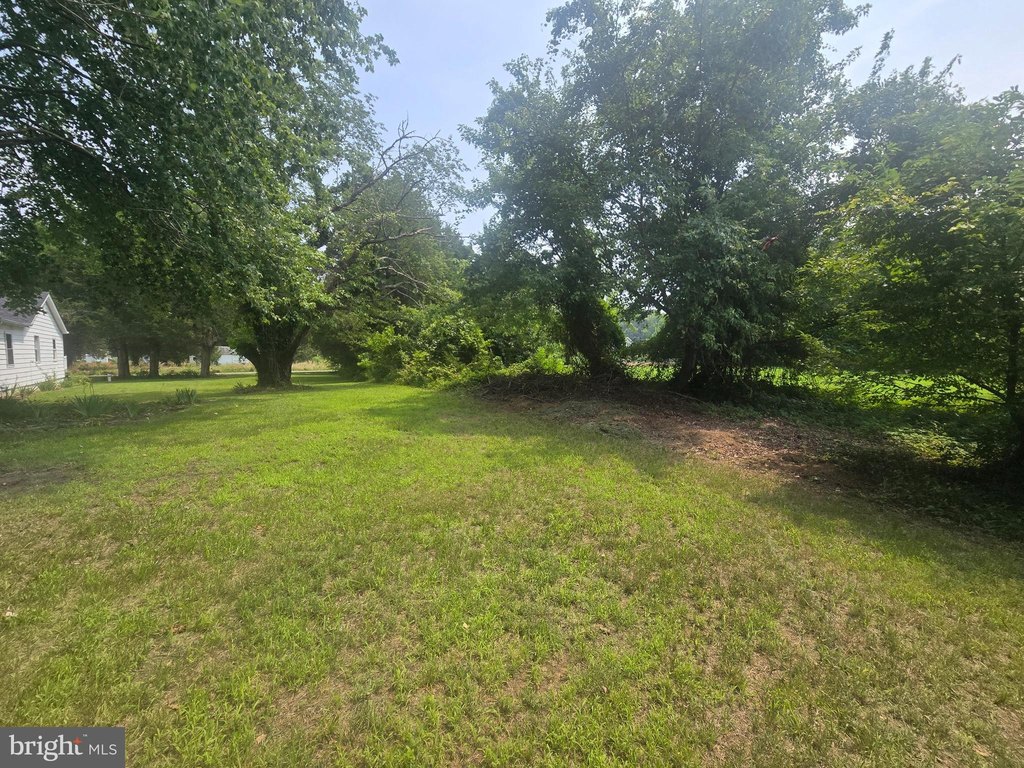 Picture 6