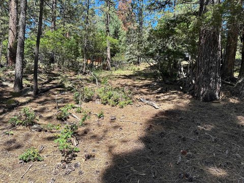 Angel Fire Land For Sale