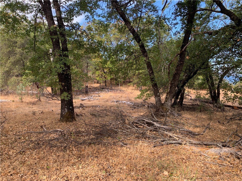 Picture 36