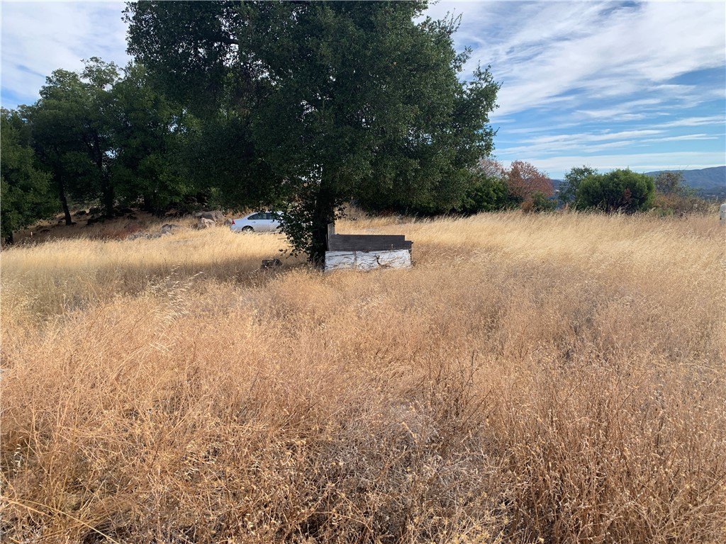 Picture 23