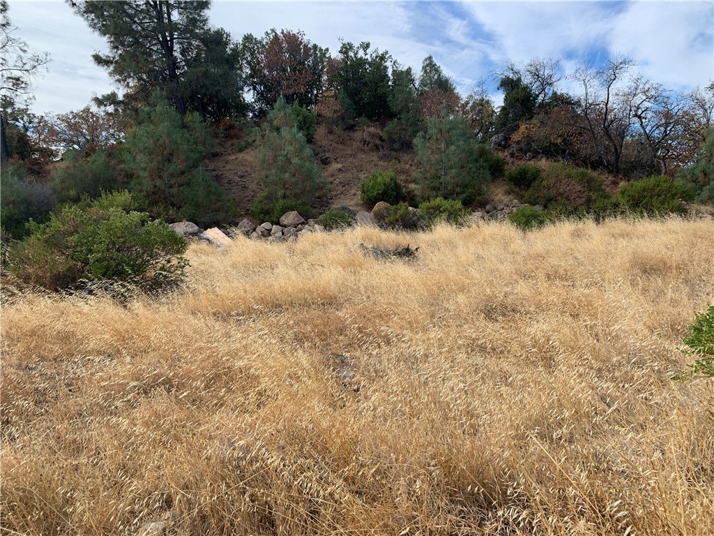 Picture 19