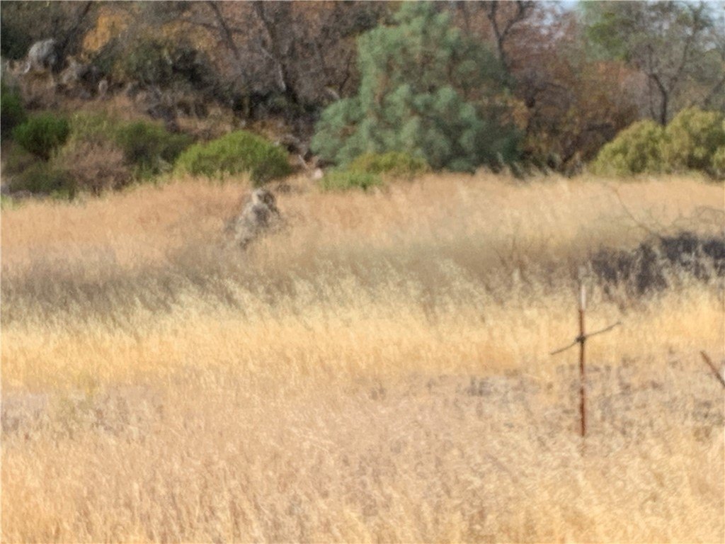 Picture 28