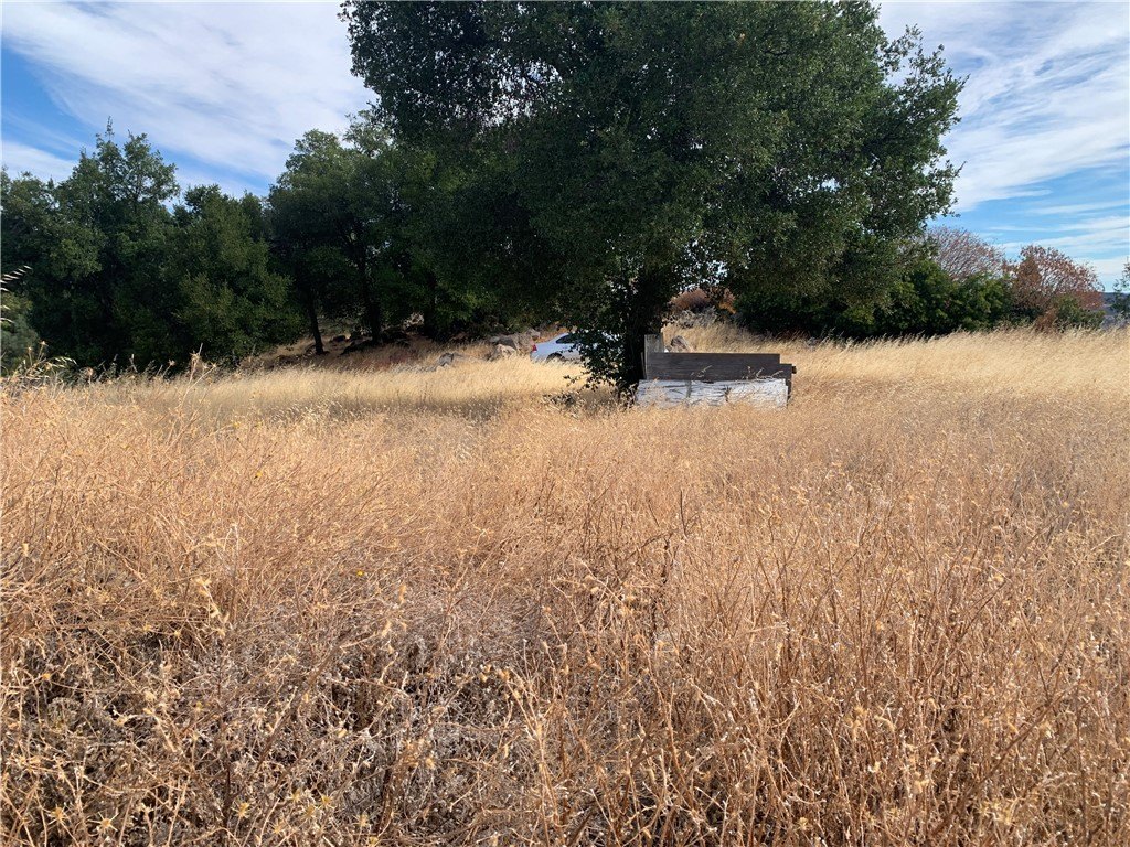 Picture 20