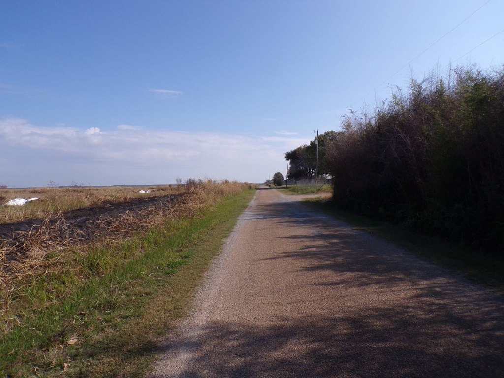 Picture 22