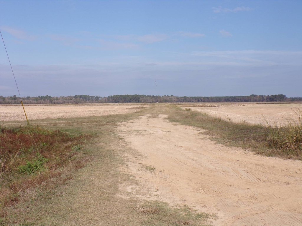 Picture 32
