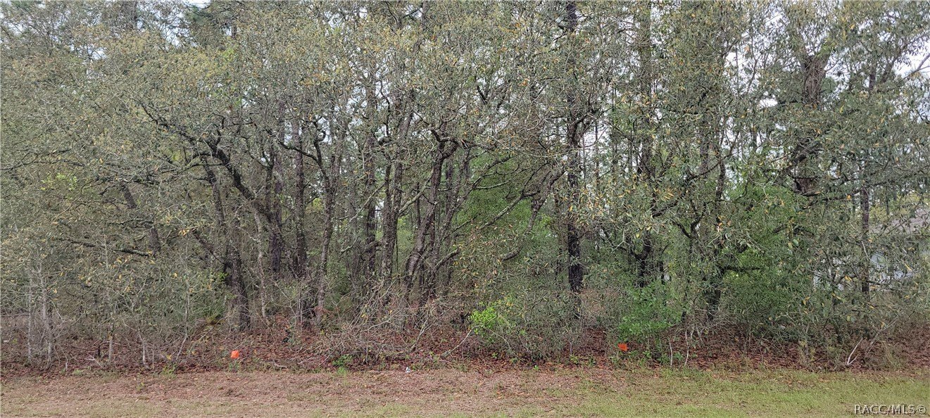 Residential Lot in Citrus Springs