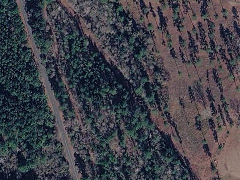 LAND - Lanett, AL