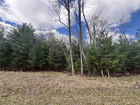 Wooded Waterfront Home Site