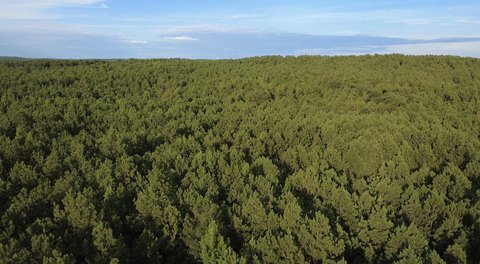 LAND - Columbiana, AL