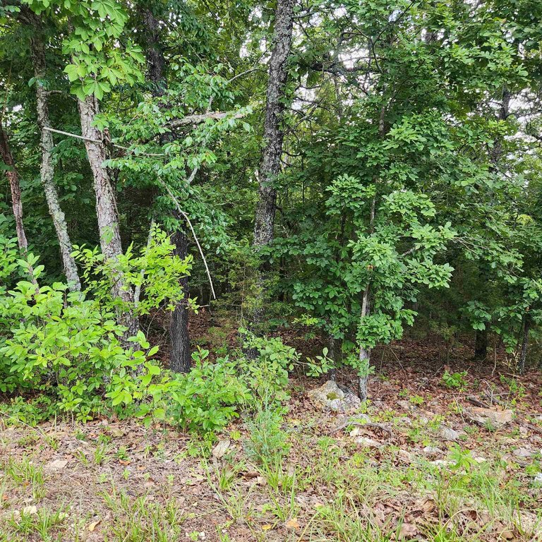 Picture 12