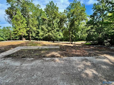 Residential Lot in Glencoe, AL