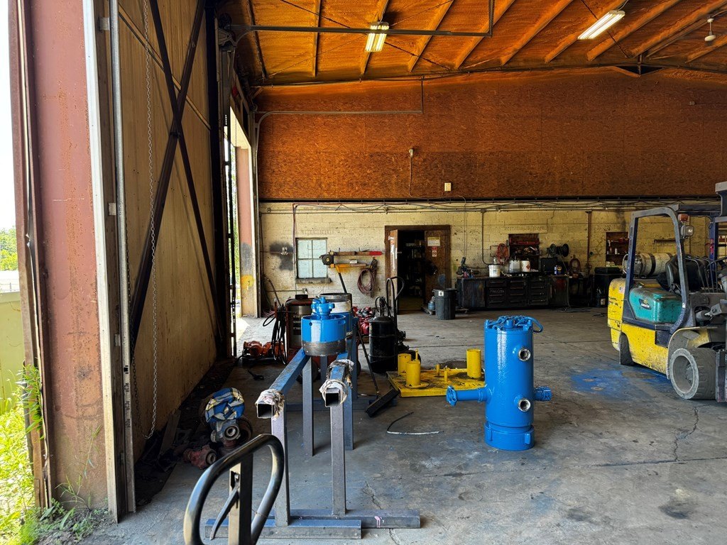 Picture 12