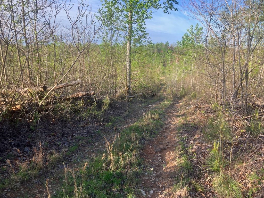 Picture 48