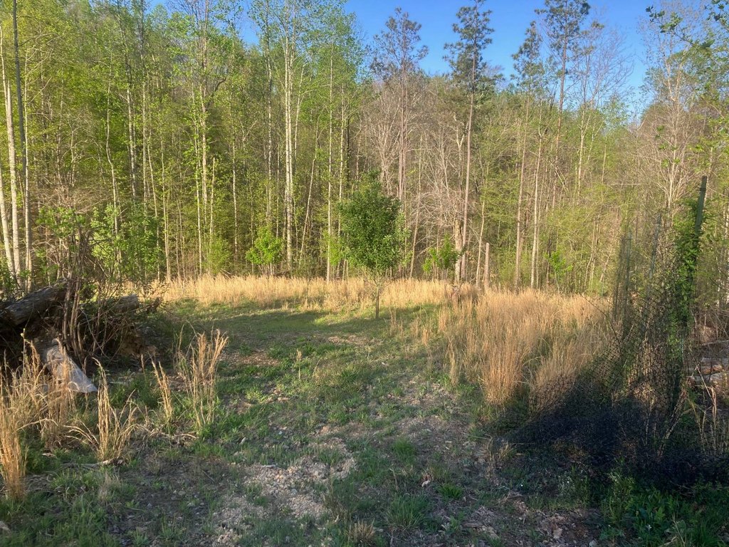 Picture 47