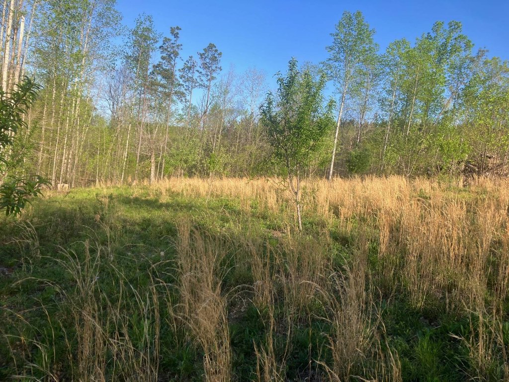Picture 46