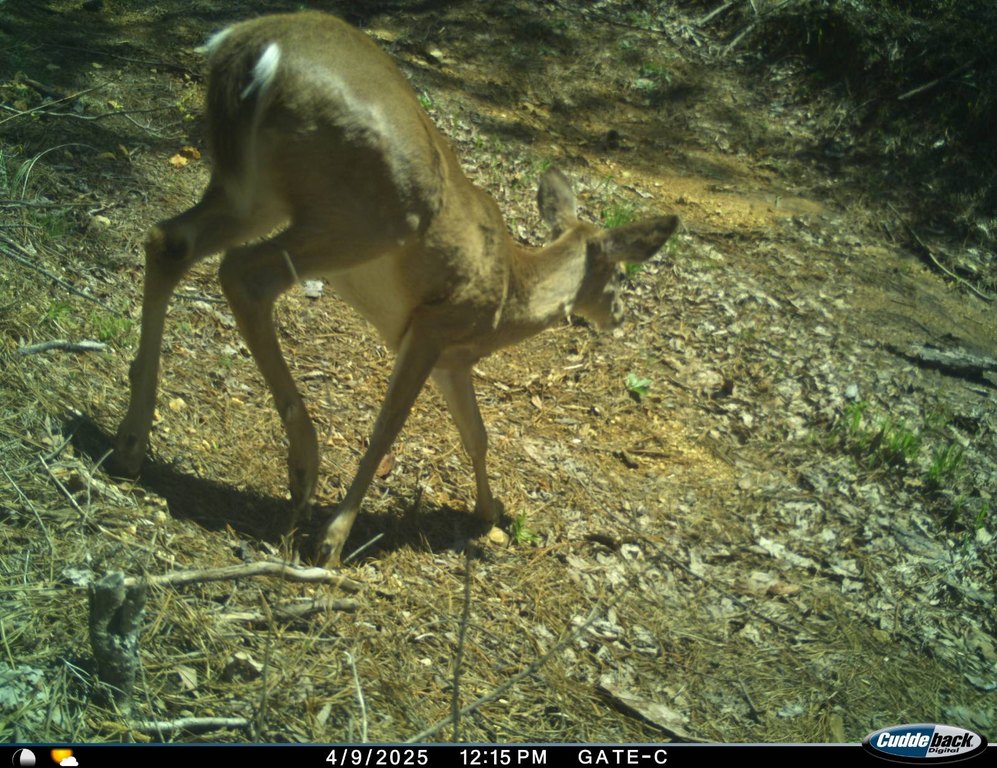 Picture 14