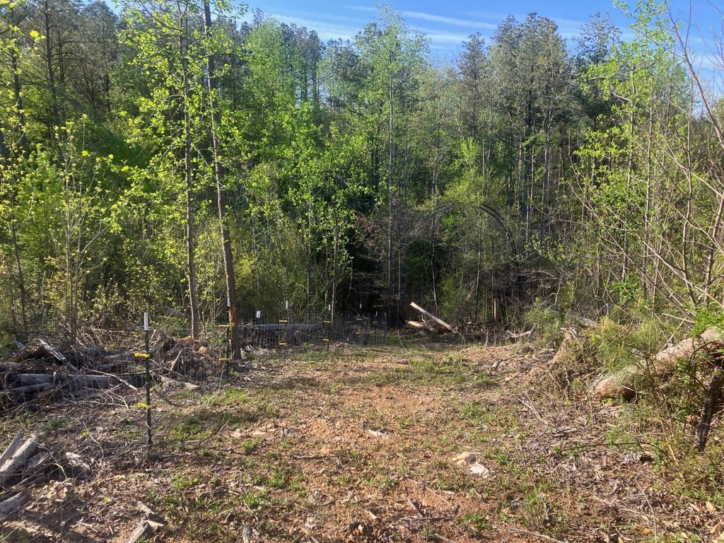 Picture 28