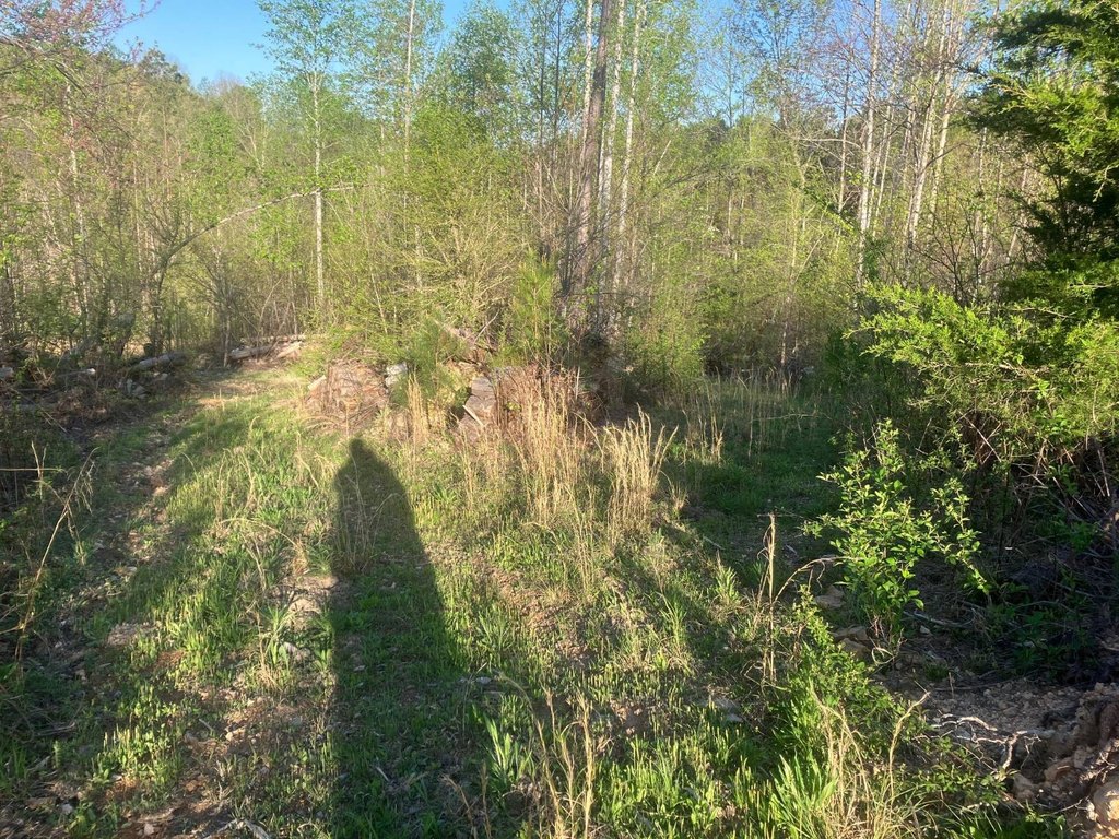 Picture 25